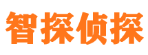 宛城市侦探调查公司